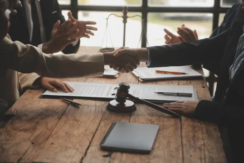 Litigation & Dispute Resolution
